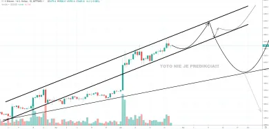 1D BTC/USD - Bitfinex