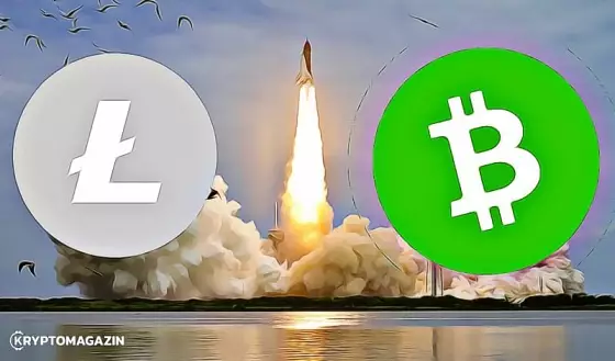 litecoin bitcoin cash up