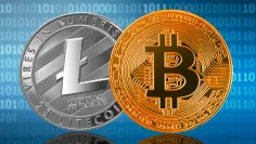 Ako sa bude dariť bitcoinu a litecoinu?