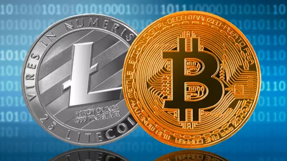 Ako sa bude dariť bitcoinu a litecoinu?