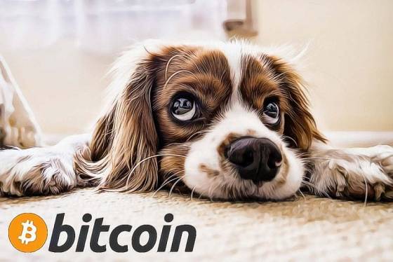 bitcoin pes smutny