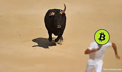 bitcoin byk bull run