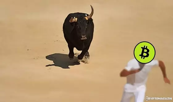 bitcoin byk bull run