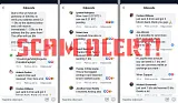 SCAM_WIREX