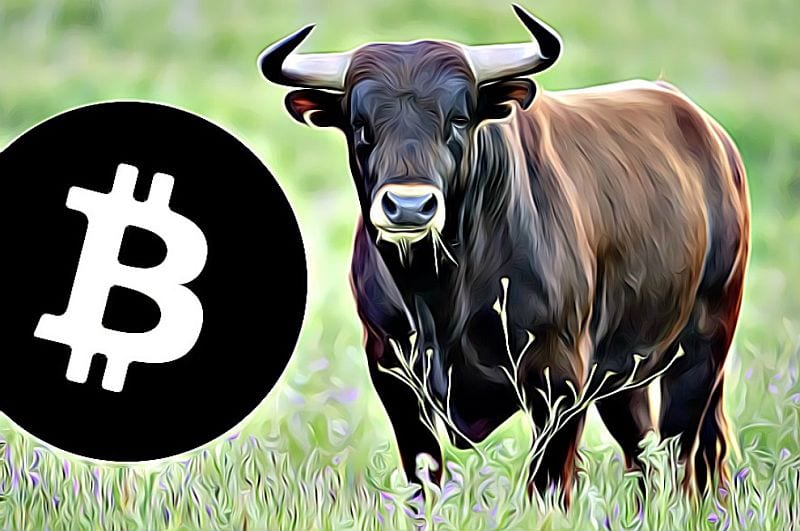 bitcoin-bull-market halving