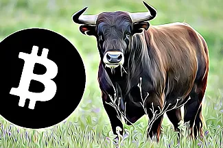 bitcoin-bull-market halving