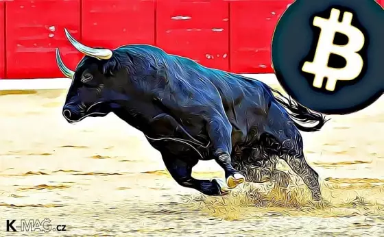 bitcoin bull