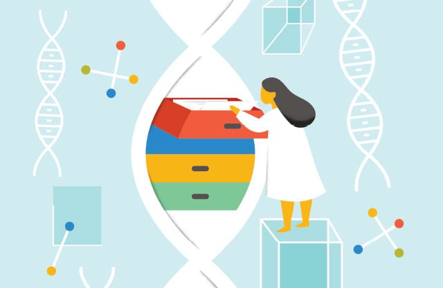 Je možné, že čoskoro budeme môcť ukladať dáta do reťazca DNA?