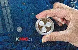 XRP, mastercard