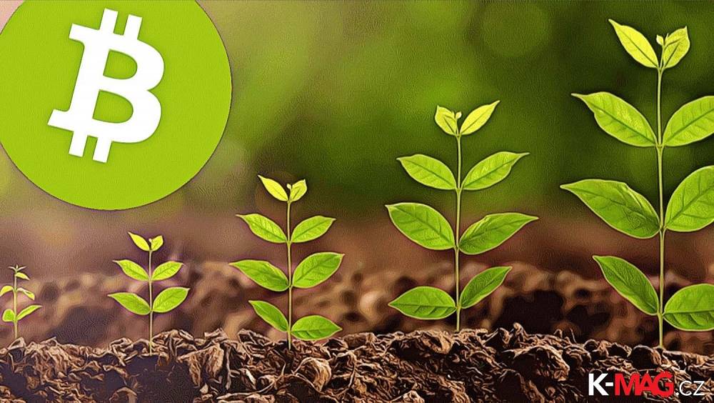 bitcoin growth up to green plant