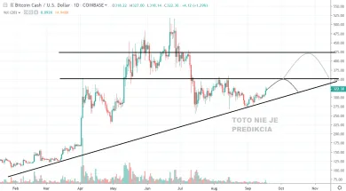 1D BCH/USD - Coinbase Pro