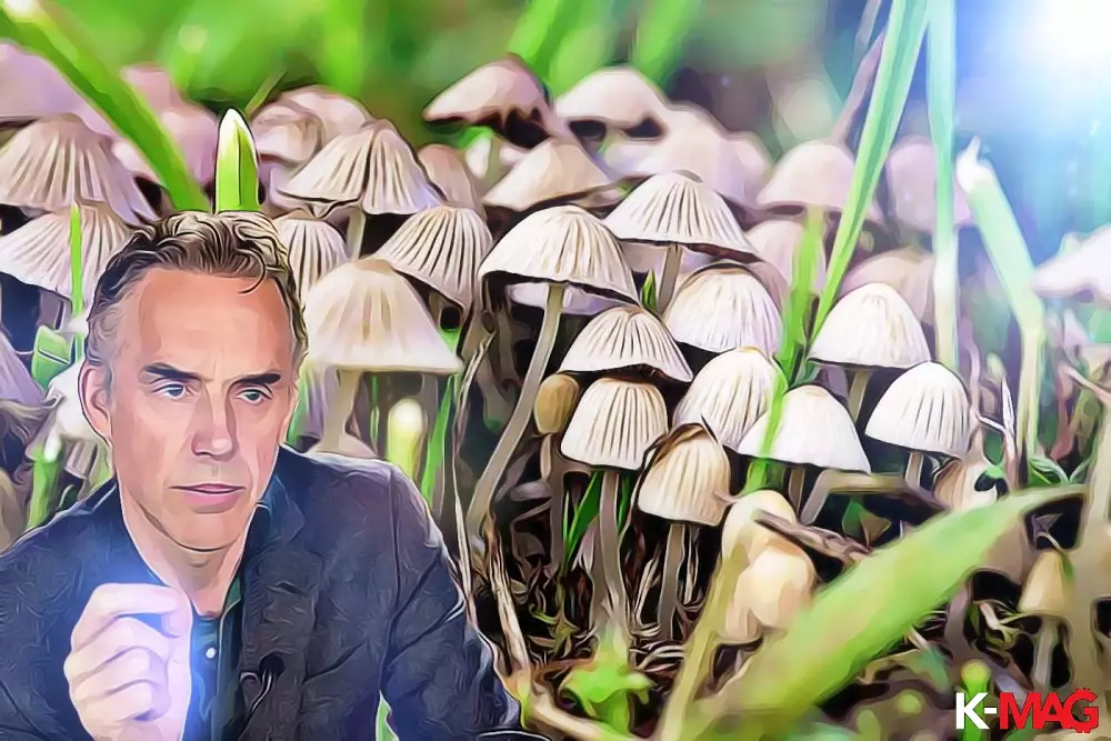 psylocibín, hubicky jordan peterson vyskum video