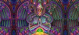 dmt, N-dimetyltryptamín
