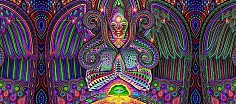 dmt, N-dimetyltryptamín