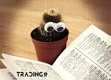 spravy_insider