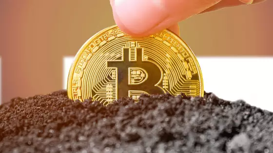 Ťažba bitcoinu je stále lukratívna