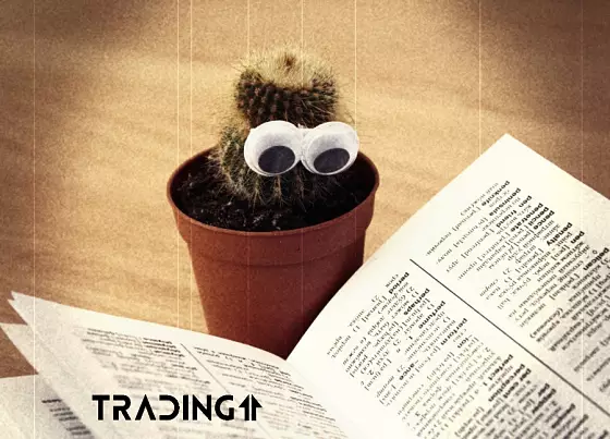 insider, znalosti, vedieť, poznať, analýza, informácie, trading11