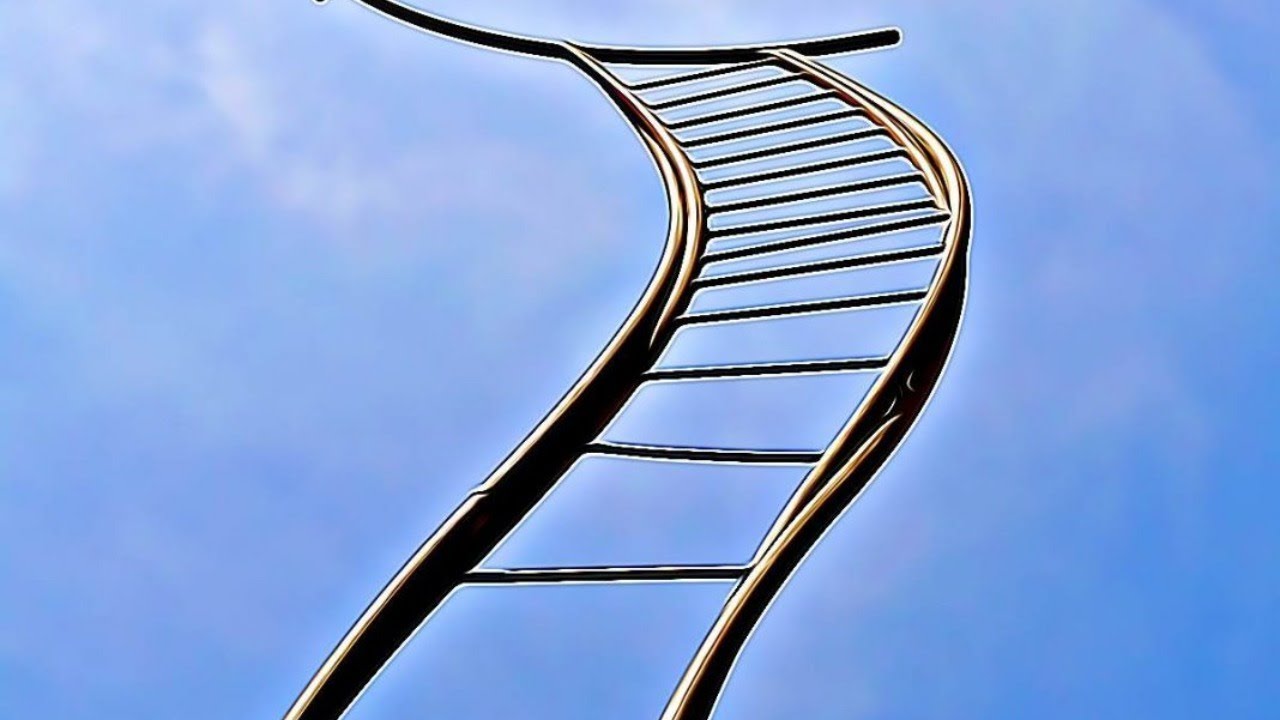 Galaxy Digital Holdings