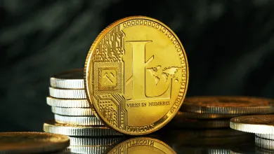 Litecoin je na dobrej ceste