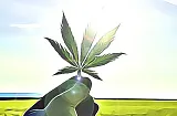marihuana akcie rast rychly boon bitcoin