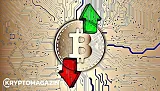 BTC bitcoin správy Novogratz