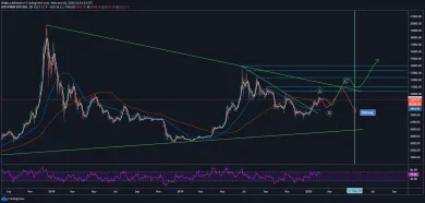 1D BTC/USD - Bitstamp - long term analýza