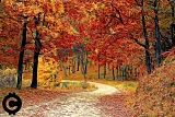 altcoin koniec altseason conmagazin