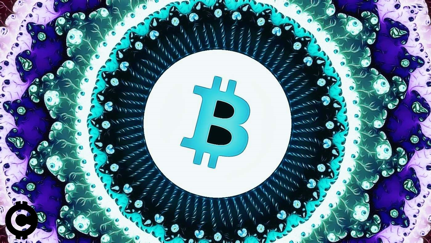 bitcoin fraktal teoria fraktalov predikcia