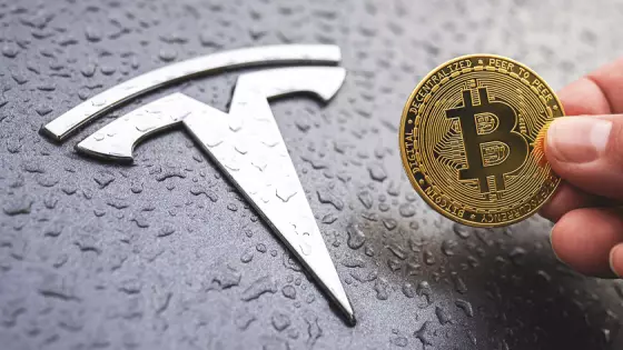 Prečo sa Bitcoin a Tesla tak podobajú?