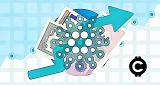 cardano