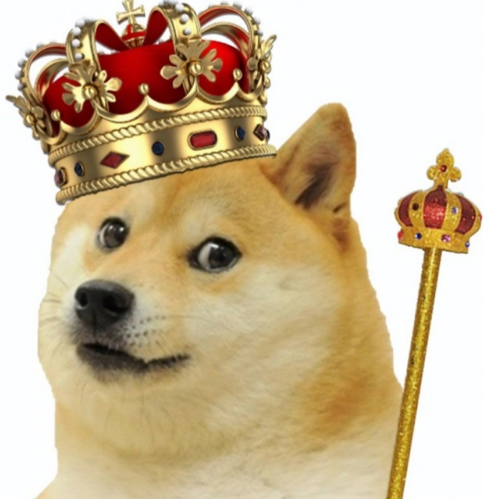 doge coin its good to be king