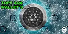 top5_ada_wallets_km