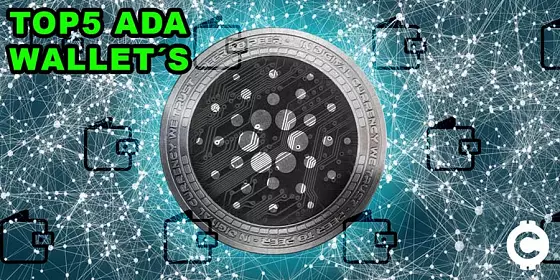 top5_ada_wallets_km