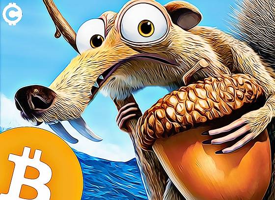 bitcoin hodl vevericka doba ladova