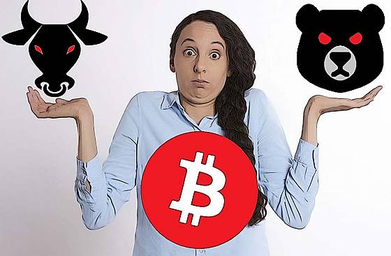 Bitcoin BitLink Bull Bear