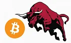 btc bull