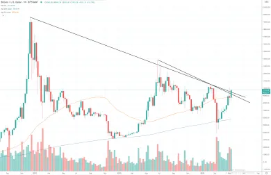 1W BTC/USD - Bitstamp