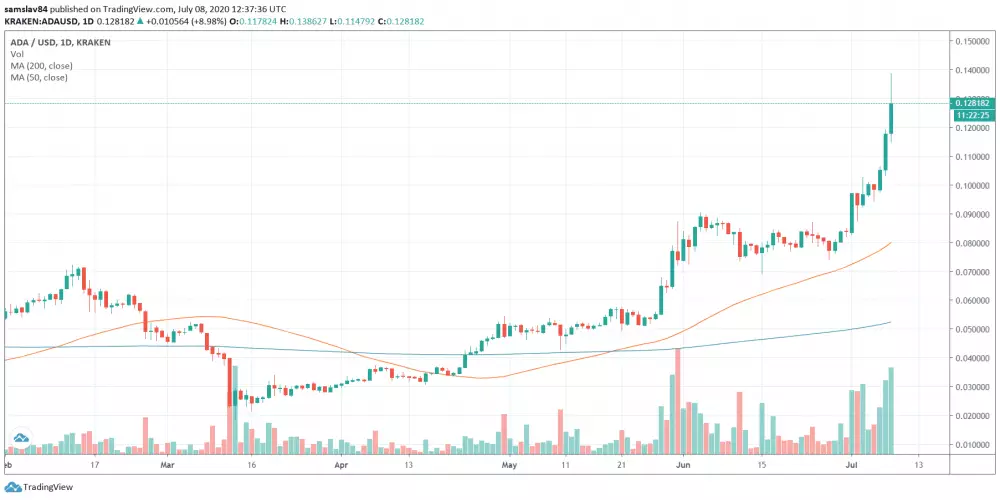 cardano daily graf