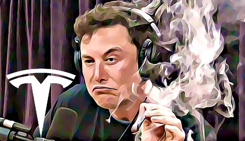 elon musk fajci marihuanu joe rogan