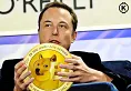 dogecoin elon musk twitter troll