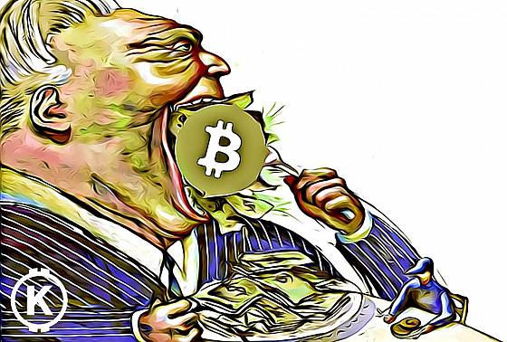 institucie chamtivost bitcoin