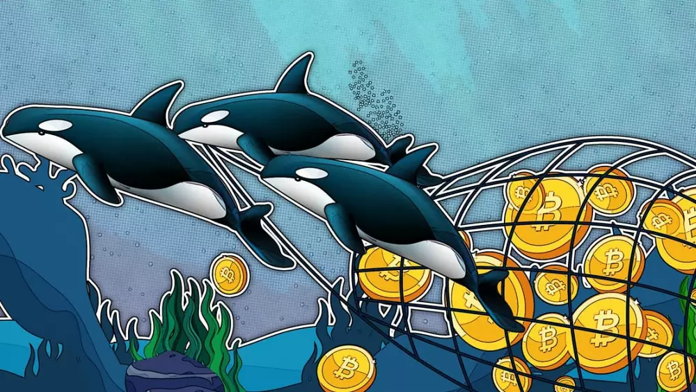 BITCOIN-WHALES-QUIETLY-STOCKPILED-150K-BTC-IN-LAST-TWO-MONTHS