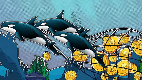 BITCOIN-WHALES-QUIETLY-STOCKPILED-150K-BTC-IN-LAST-TWO-MONTHS