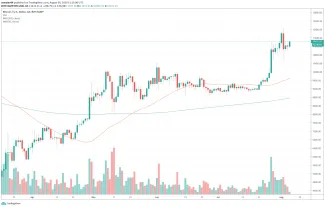 Bitcoin v čase krízy