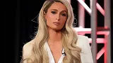 paris hilton cat portrait ethereum auction