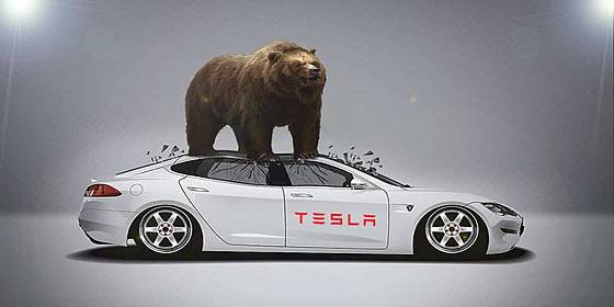 Tesla bear market