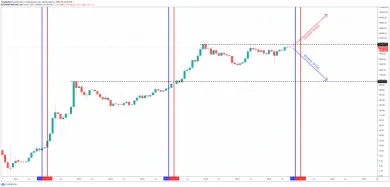 BTC bull run election