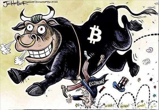 Bitcoin bull high