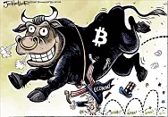 Bitcoin bull high