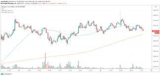 Bitcoin nereaguje na hack